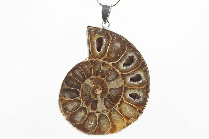 Fossil Ammonite Pendant - Million Years Old #306463